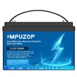 Фото 2 - Акумулятор MFUZOP LiFePO4 12.8 V 100 Ah 1280 W