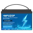 Фото 2 - Аккумулятор MFUZOP LiFePO4 12.8 V 100 Ah 1280 W