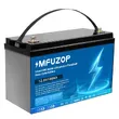 Фото 1 - Аккумулятор MFUZOP LiFePO4 12.8 V 100 Ah 1280 W
